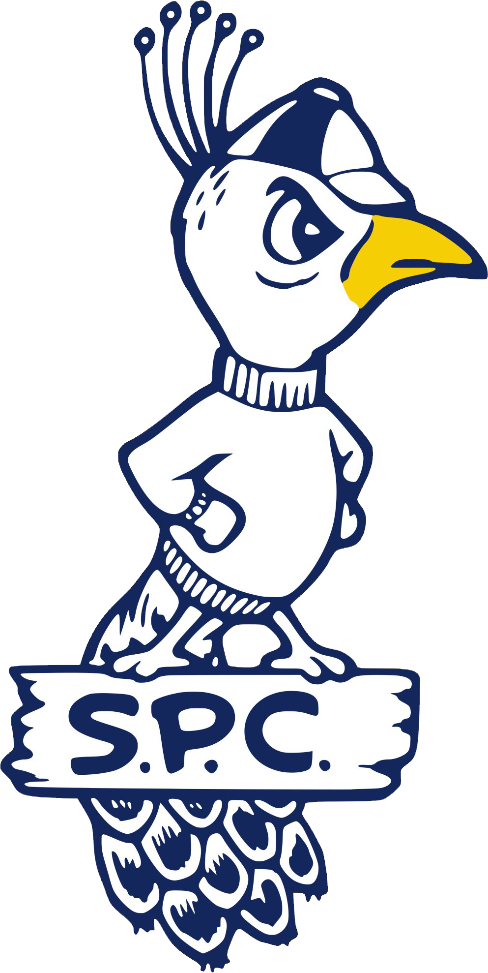 St. Peters Peacocks 1965-1982 alternate logo DIY iron on transfer (heat transfer)